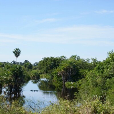 AFS Paraguay Pixabay aranha