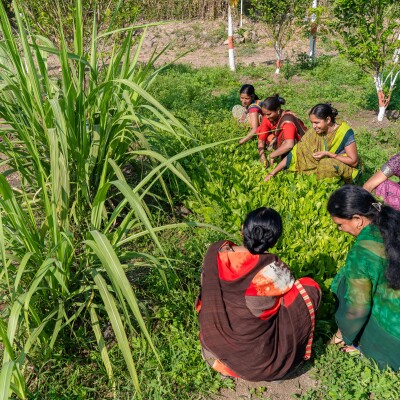 Indien Freiwilligendienst Projekt CEAD unsplash