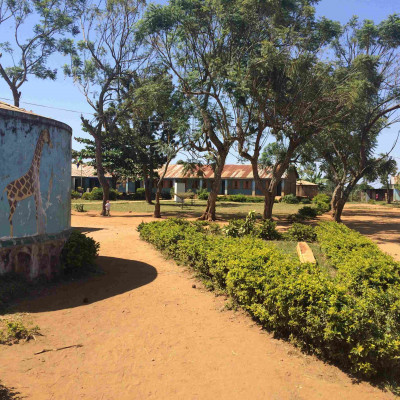 Mugeza Mseto