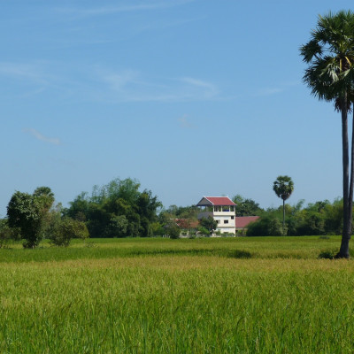 Blick vom Reisfeld auf die Schule, Kambodscha