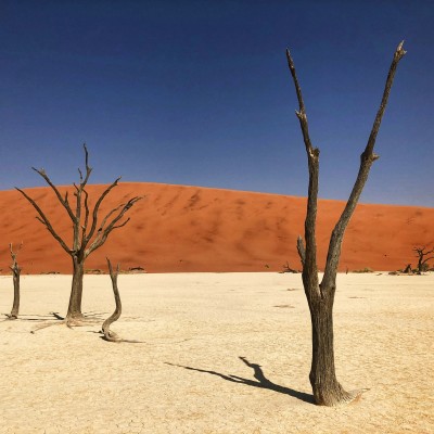 bernd dittrich uaVmPbje6SQ unsplash