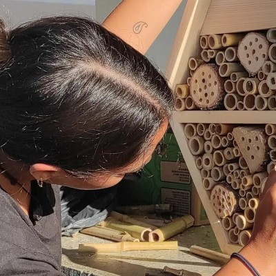 Slowenien Insektenhotel von PO v6.jpg geschnitten