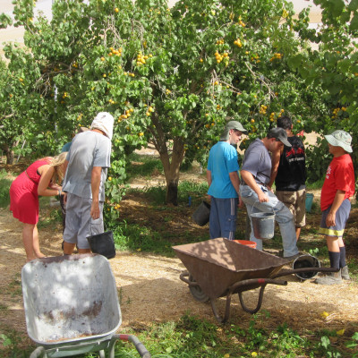 Kfar Rafael ZWS Besuchsreise 2012 SZCG 014 1