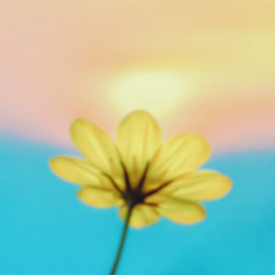 Brown White Simple Nature Mountain Day Banner126