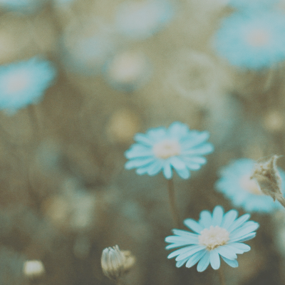 Brown White Simple Nature Mountain Day Banner81