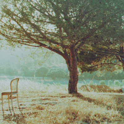 Brown White Simple Nature Mountain Day Banner90