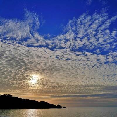 mare