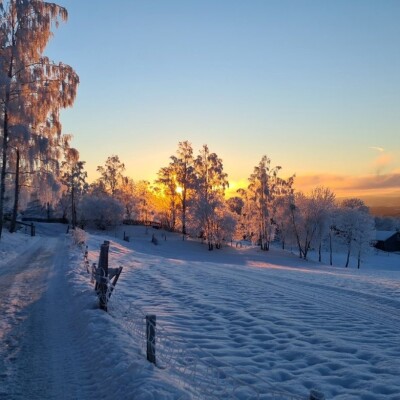 Camphill Solborg, Norwegen komprimiert.docx
