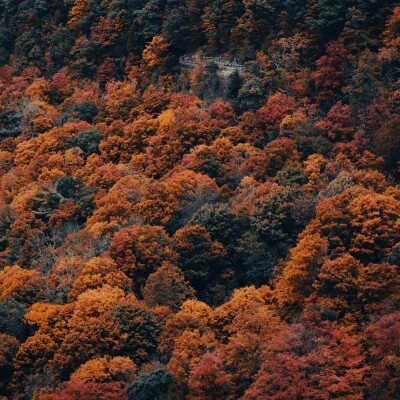 farhad ghanbari Zd5X8RSWt80 unsplash