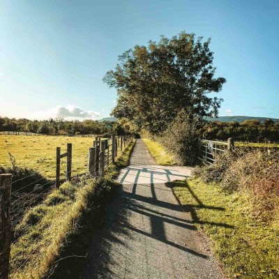 landschaftsweg Grüne Felder Sonne irland