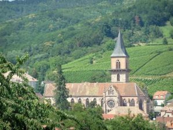 Alsace 1