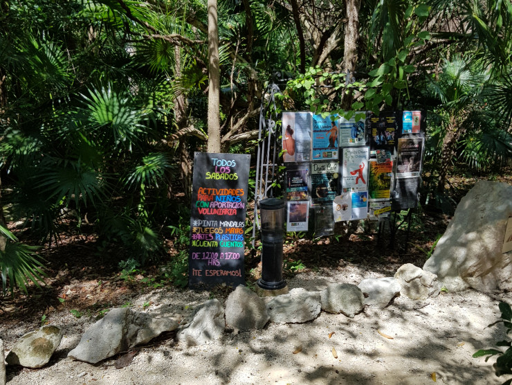 2024 Aktivitaeten im Parque la Ceiba
