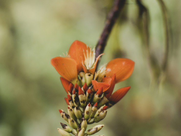 zeke tucker CnT13R 1mfo unsplash