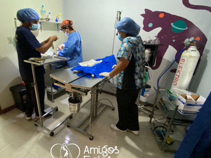 Tierklinik Amigos Fieles