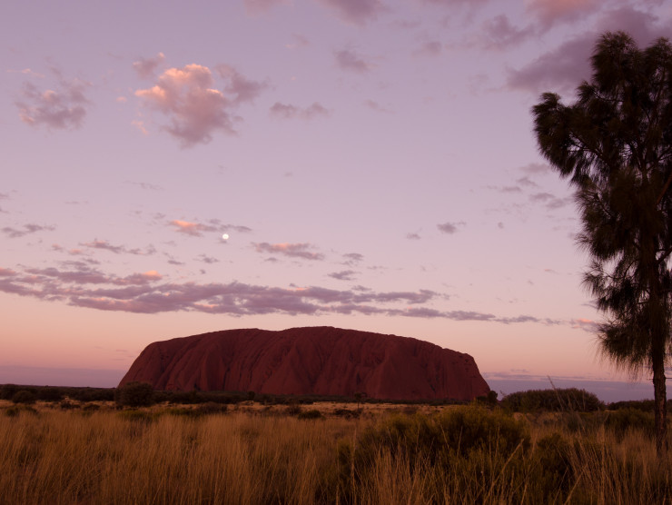 Der Inselberg Uluru im Abendlicht