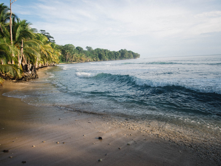 palmengesäumter Strand in Panama