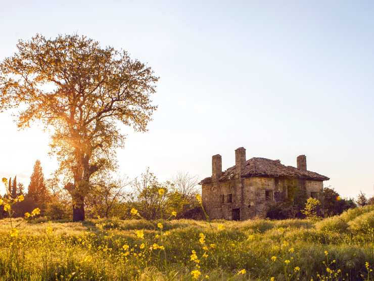 ein altes Landhaus mit Wiese im warmen Sonnenlicht
