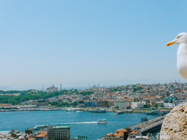 meric dagli 732060 unsplash