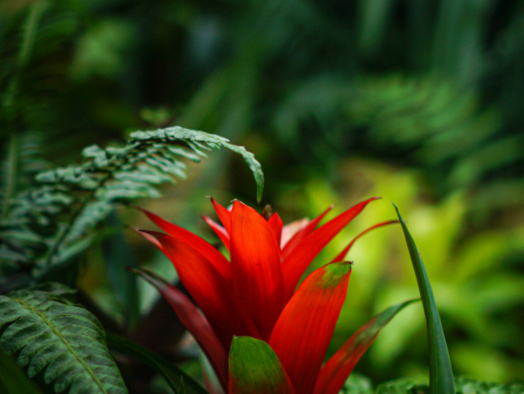 kalea jerielle urxHaSLXxh0 unsplash