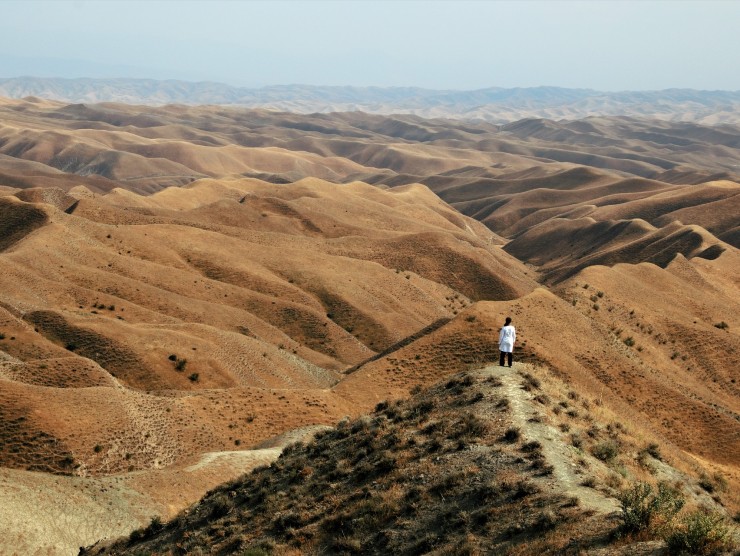Mensch auf einer Düne blickt über die Wüste