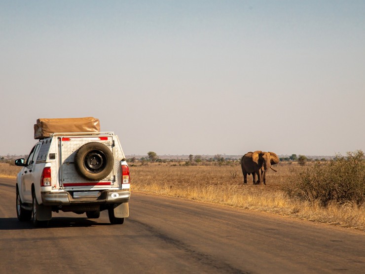 Sarafi-Auto fährt an Elefant vorbei